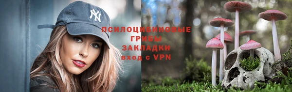 a pvp Арсеньев