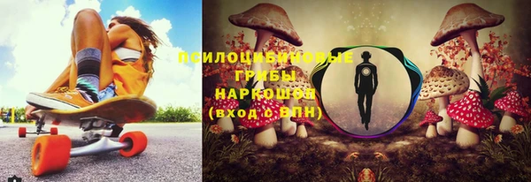 a pvp Арсеньев