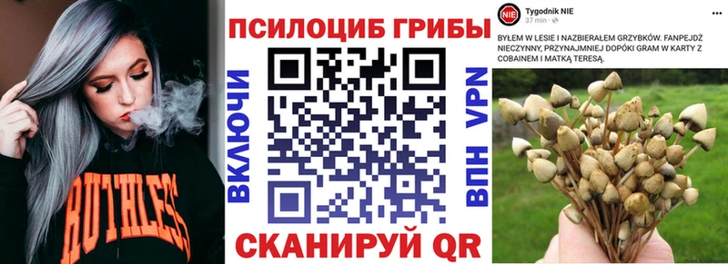закладки  площадка какой сайт  Псилоцибиновые грибы Magic Shrooms  Скопин 